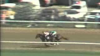 Spectacular Bid wins the 1979 Kentucky Derby [upl. by Mozelle]