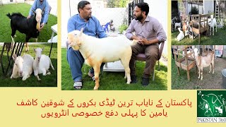 Pakistans most beautiful Goats  KK goat farm  Teedi Breed [upl. by Alioz127]