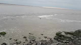 Le mascaret au MontSaintMichel Jeudi 21 Mars 2019 coeff 115 tidal bore at Mont St Michel France [upl. by Susanetta]