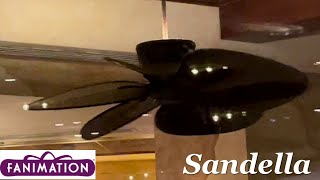 52quot Fanimation Sandella Ceiling Fans 11 12 13 14 15 16  16 [upl. by Maon677]