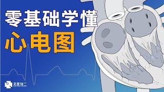 零基础学懂心电图 ｜ Electrocardiography ECGEKG Basic [upl. by Niccolo]