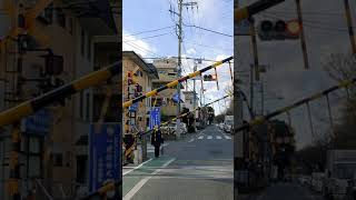 Railroad Crossing  Train Passing in Tokyo Japan  Seibu Tamako Line [upl. by Ileyan]