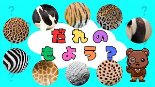 だれのもよう？ 知育｜教育｜幼児｜子ども｜ことばの勉強｜動物｜ひらがな [upl. by Pilar]