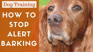 How To Train A Dog To Stop Alert Barking [upl. by Auqenehs]