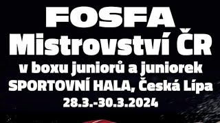 FOSFA Mistrovství ČR v boxu juniorů a juniorek  Česká LÍpa 2832024 [upl. by Goldi343]