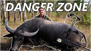 SOLO BUFFALO Bowhunting Australia  DANGER ZONE [upl. by Lisetta92]