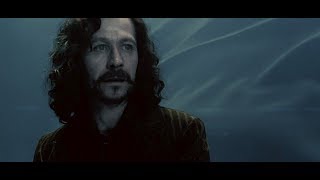 The Life Of Sirius Black [upl. by Annunciata]