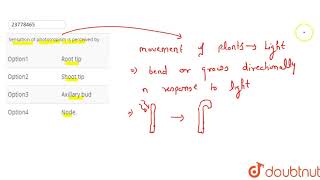 Sensation of phototropism is perceived by  12  Plant Growth and Movements  BIOLOGY  DINESH P [upl. by Boudreaux]