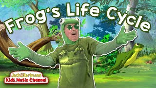 A Frogs Life Cycle  Metamorphosis Song for Kids  Jack Hartmann [upl. by Oiretule]