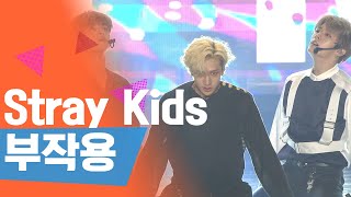 스트레이키즈 Stray kids ‘부작용side effects LIVE STAGE [upl. by Ranchod]