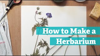 How to Make a Herbarium [upl. by Eerdna]