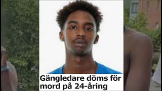 Rättegången med Mohamed Shire Nätverk D [upl. by Ignazio]