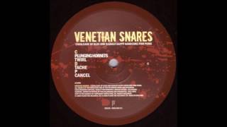 Venetian Snares  Plunging Hornets [upl. by Cleodell]