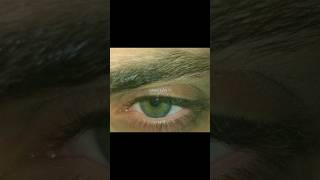 Green eyes👀💚greeneyes pinterest shorts apt trendingshortsyoutubeshorts viralreels aesthetic [upl. by Lytsirk914]