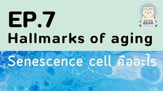 Hallmarks of aging EP7 Senescence cell [upl. by Lynnett]