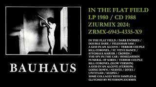 BAUHAUS IN THE FLAT FIELD  ZIURMIX [upl. by Anelys]