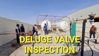 Deluge Valve System Inspection [upl. by Essinger]