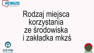 Raport do Krajowej bazy KOBiZE na przykładzie roku 2017 [upl. by Lertnahs]