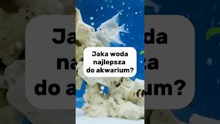 Jaka woda najlepsza do akwarium [upl. by Ertnod280]