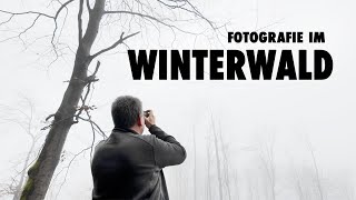 Fotografieren im Nebelwald  Tipps und Tricks mit Karsten Mosebach [upl. by Sirrad]