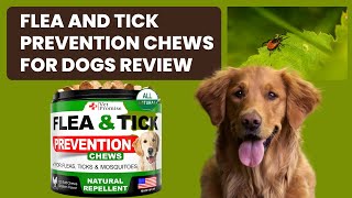 Flea and Tick Prevention Chews for Dogs Review [upl. by Nnylimaj678]