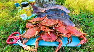 3 Hours of Pier Fishing and Crabbing Delicious Cookout [upl. by Lapham658]