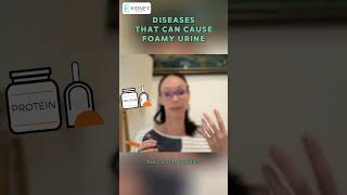 Diseases That Can Cause Foamy Urine Other Than Proteinuria  Proteinuria Urine Bubbles [upl. by Bain966]