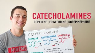 What are the Catecholamines  Dopamine Norepinephrine Epinephrine  Physiology and Main Functions [upl. by Ungley]