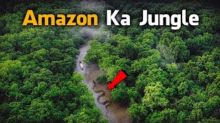 Most Dangerous Animals Of Amazon Rainforest  Strange Facts About Amazon Rainforest HindiUrdu [upl. by Ahsait166]