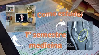 Como estudei no primeiro semestre de medicina [upl. by Guy]