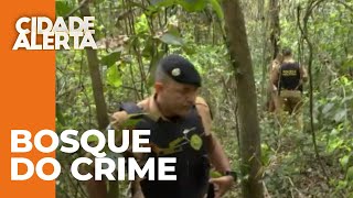 TRÁFICO DE DROGAS E DESOVA DE CORPOS A polícia realiza uma operação dramática em bosque de Londrina [upl. by Yleak662]