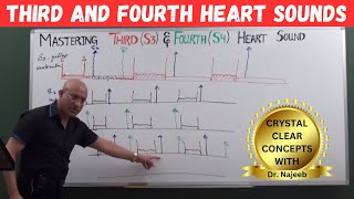 Mastering S3 and S4  Learn Third and Fourth Heart Sounds🫀 [upl. by Vito724]