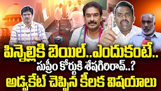 పిన్నెల్లికి బెయిల్ High Court Advocate Reveals Facts About Pinnelli Ramakrishna Reddy Bail  STV [upl. by Lessirg]