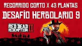 Desafío Herbolario 9  Recorrido Corto x 43 Plantas  Red Dead Redemption 2 [upl. by Leventis]