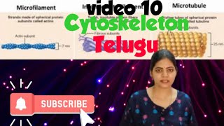 Cytoskeleton l Class 11 NCERT NEET Biology chapter 8 l [upl. by Nnek279]