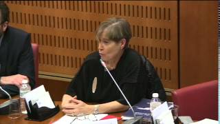 Intervention lors de laudition de la Cour nationale du Droit dAsile 2 [upl. by Iroj116]