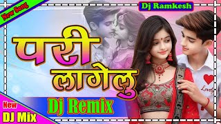 Pari Lagelu prmodhpremi Yadav  Pari Lagelu Dj Mix  New Bhojpuri Dj Remix Song 2025 [upl. by Esenej]