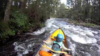 MANNING RIVER Whitewater canoeing OC1 amp OC2 with kids [upl. by Giffard]