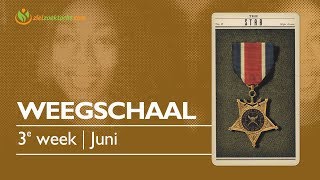 WEEGSCHAAL Wekelijkse Tarot Kaartlezing  Horoscoop  Juni 1723 [upl. by Readus167]