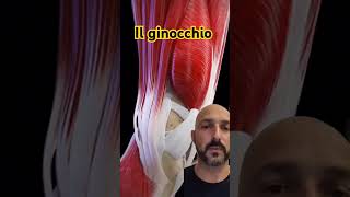 ginocchio benessere salute personaltrainer fitness posturalcorrection postural allenamento [upl. by Joash]