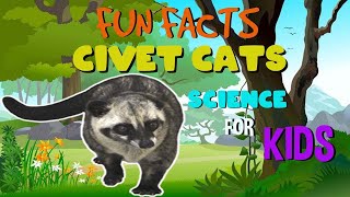 Fun Facts about the Civet Cat  Science Facts for Kids [upl. by Nadaha]