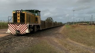 Cane trains in Koumala  Australian Railways [upl. by Adnam]