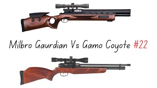 Milbro Gaurdian Vs Gamo Coyote [upl. by Cummins]