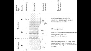 Les logs stratigraphiques par Mme Ruault Djerrab [upl. by Ennaillek]