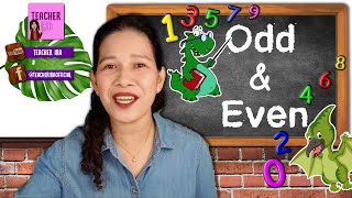 Odd and Even Numbers  Groups of Numbers  Kindergarten Mathematics  Teacher Ira [upl. by Llevrac]