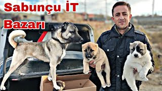 Sabunçu İT Bazarı 24 dekabr 2023 mubarizemintv2271 [upl. by Lokcin]