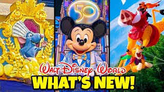 Top 10 New Rides amp Attractions for Walt Disney Worlds 50th Anniversary [upl. by Wons361]