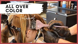 All Over Hair Color – Single Process Color Application With a Bowl and Brush [upl. by Ydolem]