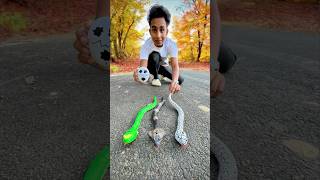 Remote Control Cobra🐍 And Snake Unboxing🔥 [upl. by Iramohs]