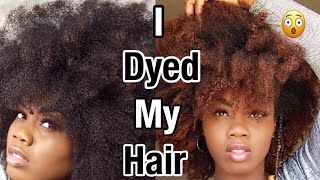 i dyed my hair honey blondecreme of nature hair dye experience [upl. by Dranoel]